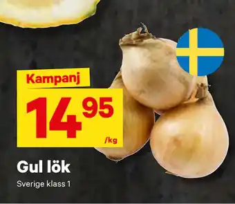 City Gross Gul lök erbjuda