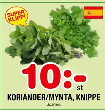 Nya Pulsen KORIANDER/MYNTA, KNIPPE erbjuda