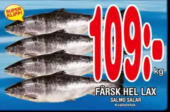 Nya Pulsen FÄRSK HEL LAX erbjuda