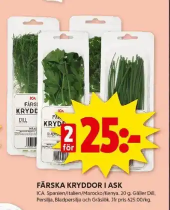 ICA Kvantum FÄRSKA KRYDDOR I ASK erbjuda