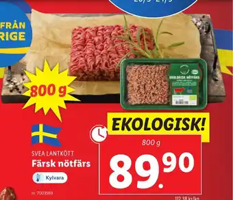Lidl Färsk nötfärs erbjuda