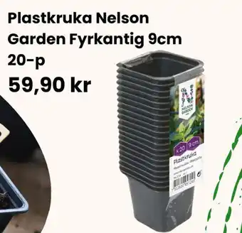 Granngården Plastkruka Nelson Garden Fyrkantig 9cm 20-p erbjuda