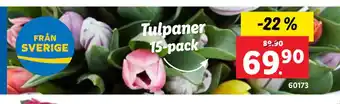 Lidl Tulpaner erbjuda