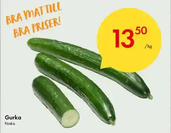 Snabbgross Förska Gurka erbjuda