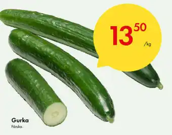 Snabbgross Gurka Färska erbjuda