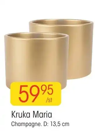 EKO Kruka Maria Champagne 13,5 cm erbjuda