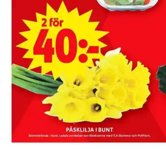 ICA Maxi Blomsterboda blommor erbjuda