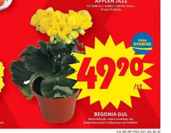 ICA Maxi Blomsterboda plantor erbjuda