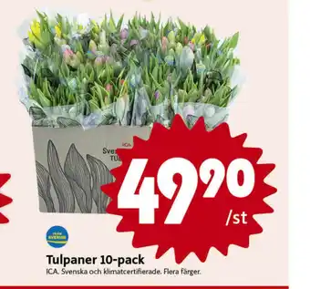 ICA Nära Ica blommor erbjuda