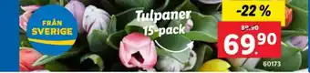 Lidl Grandiol blommor erbjuda
