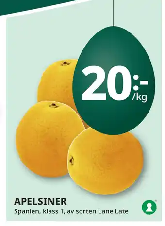 Tempo APELSINER erbjuda