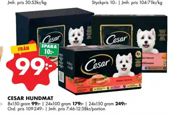 ÖoB CESAR HUNDMAT erbjuda