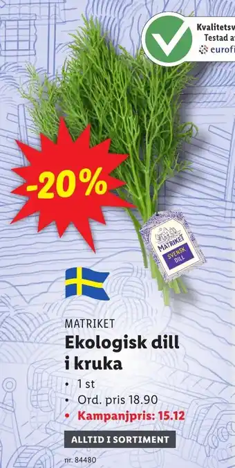 Lidl Ekologisk dill i kruka erbjuda