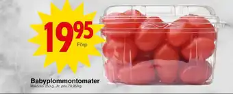 Garant plommontomater