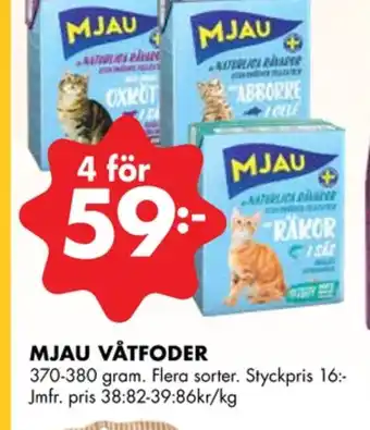 ÖoB Mjau kattmat erbjuda