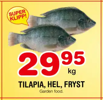 Nya Pulsen TILAPIA, HEL, FRYST erbjuda