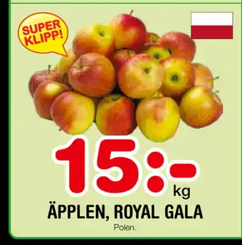 Nya Pulsen ÄPPLEN, ROYAL GALA erbjuda