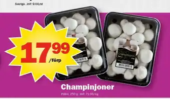 Pekås Champinjoner erbjuda