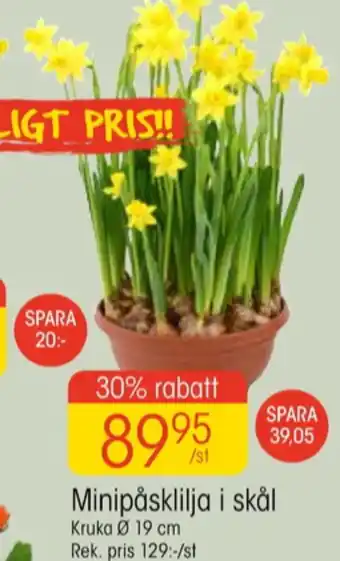 EKO Maku kitchen life plantor erbjuda