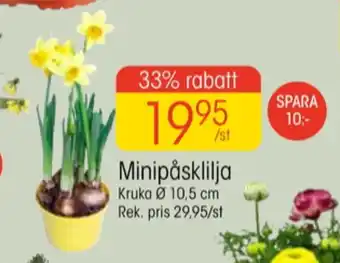 EKO Maku kitchen life plantor erbjuda