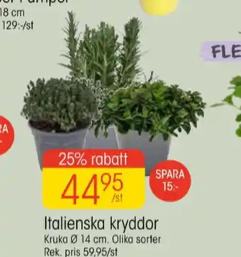 EKO Maku kitchen life plantor erbjuda