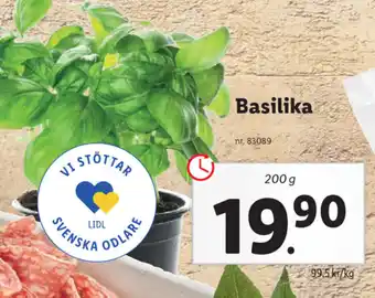 Basilika 200g