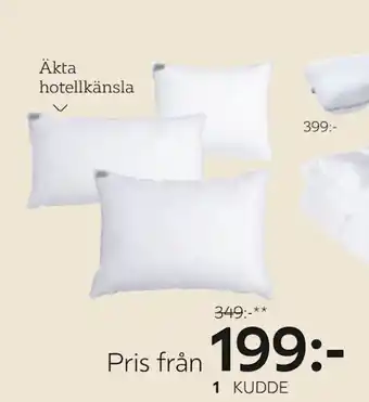 KUDDE