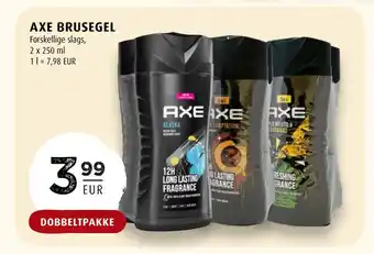 AXE BRUSEGEL