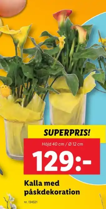 Lidl Lupilu krukväxt erbjuda