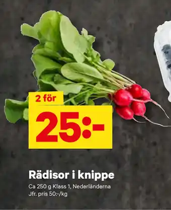 City Gross Rädisor i knippe erbjuda