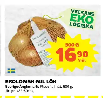 Coop Daglivs EKOLOGISK GUL LÖK erbjuda