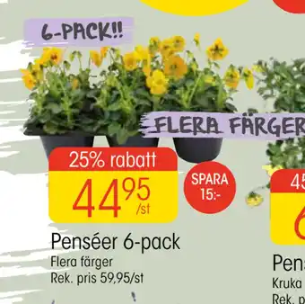 EKO Penséer 6-pack erbjuda