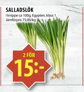 Matvärlden Tensta SALLADSLÖK erbjuda