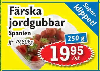 Färska jordgubbar