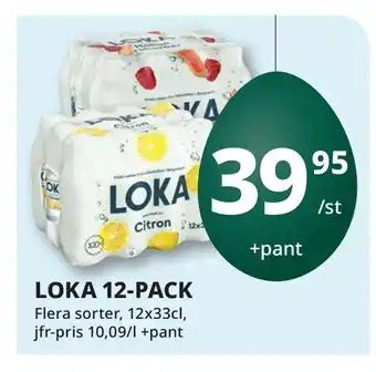 Tempo LOKA 12-PACK erbjuda