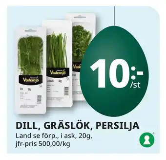 Tempo DILL, GRÄSLÖK, PERSILJA erbjuda