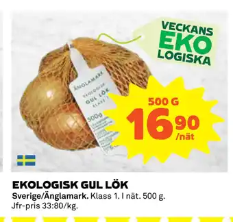 Coop EKOLOGISK GUL LÖK erbjuda