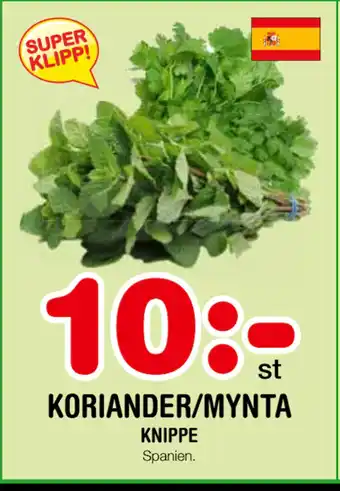 Nya Pulsen KORIANDER/MYNTA erbjuda