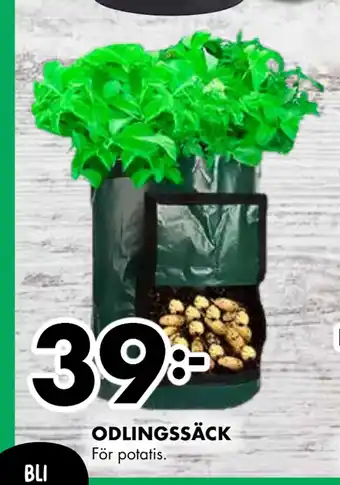 ÖoB ODLINGSSÄCK erbjuda