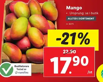 Lidl Mango erbjuda