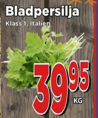 Supergrossen Bladpersilja erbjuda