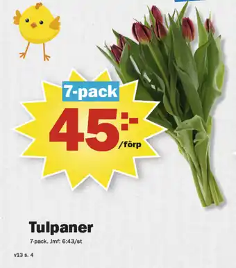 Pekås Tulpaner erbjuda
