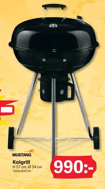 DollarStore Kolgrill erbjuda