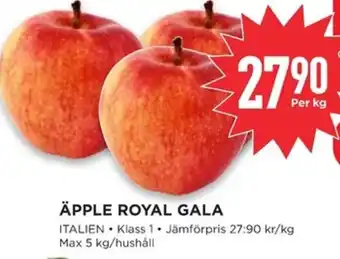 Willys ÄPPLE ROYAL GALA erbjuda