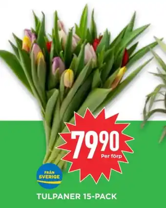 Willys Hemma Nature choise blommor erbjuda