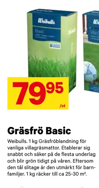 City Gross Gräsfrö Basic erbjuda