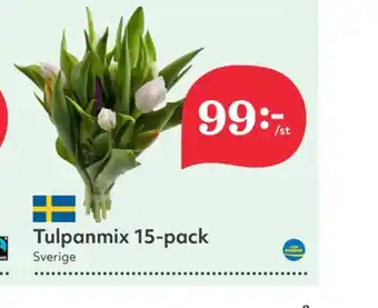 Hemköp Sun blommor erbjuda