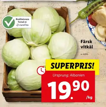 Lidl Färsk vitkål erbjuda