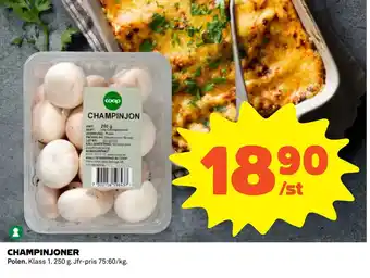 Coop CHAMPINJONER erbjuda