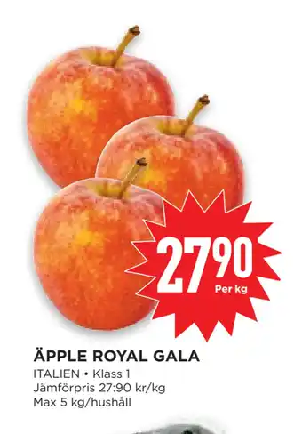 ÄPPLE ROYAL GALA